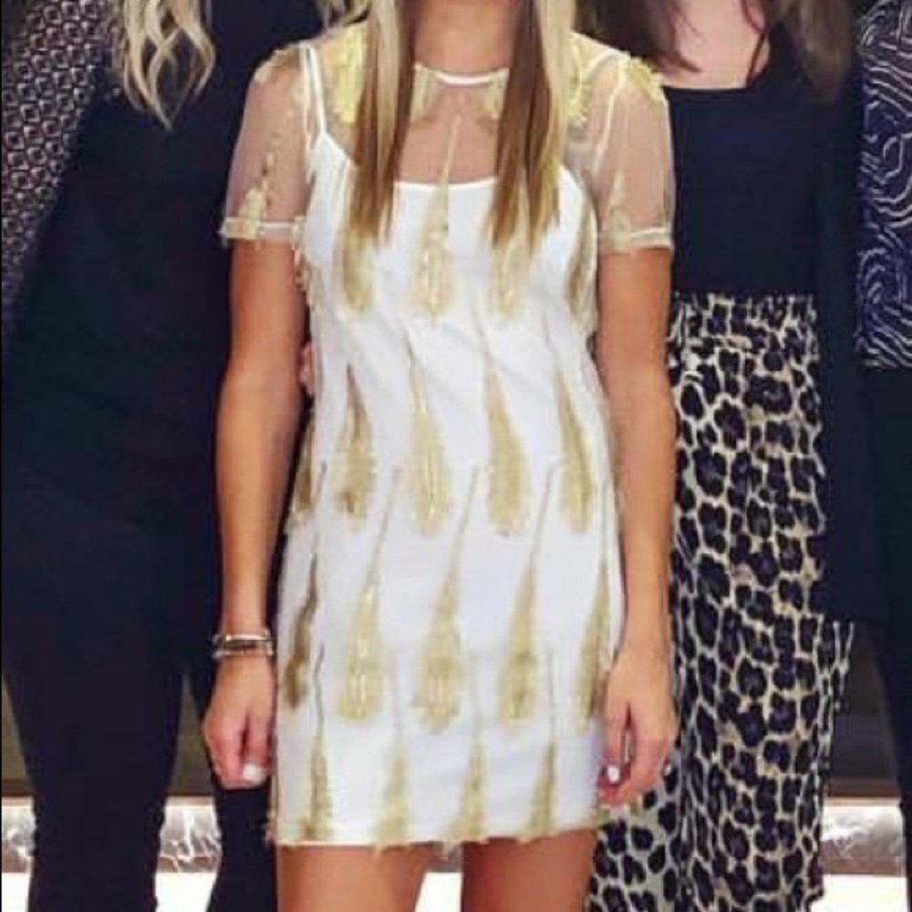 Banjul Sheer feather dress white slip underneath